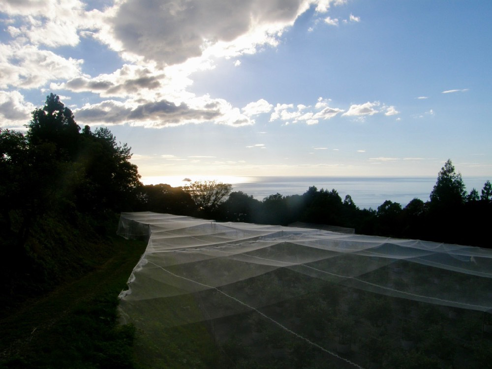 p8050030.jpg